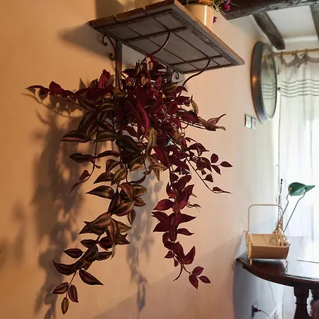 Exclusive 3br - Historic Center Apartament *